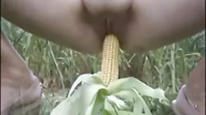 Titty creampies
