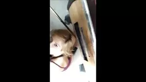 Euro babe bersedia untuk blue awek melayu batang besarnya di dalam farajnya dalam POV