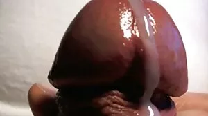 MILF Latina Tebal awek tonggek DAN Ketat Menjatuhkan itu (???)!
